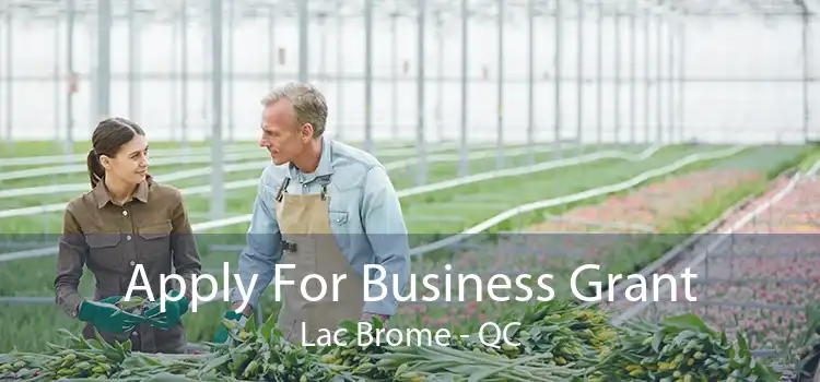 Apply For Business Grant Lac Brome - QC